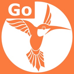 Golang & SQL