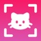 Welcome to "Cat Breed Identifier: Catpedia" – your intelligent feline guide designed to help you explore, identify, and learn about cat breeds from around the globe