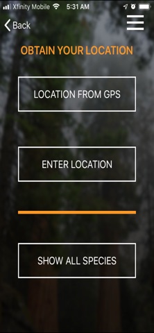 vTree screenshot