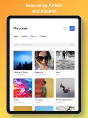 Музыка без интернета mp3 Плеер айпад изображения 4