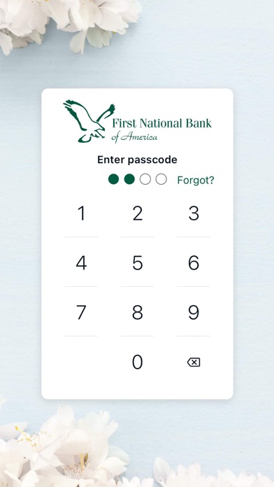 FNBA Screenshot 2 of 4