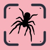 Bug identifier AI: Insect scan