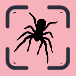 Bug identifier AI: Insect scan