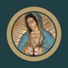 Novena Our Lady of Guadalupe icon