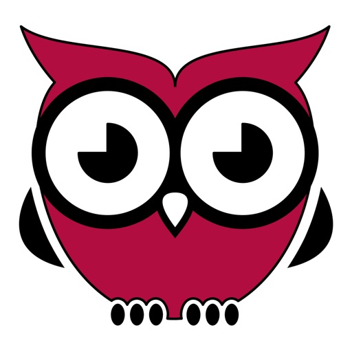 Owle - learn languages