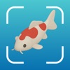 Fish Identifier: Finni icon