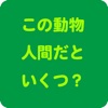 この動物人間だといくつ？ icon