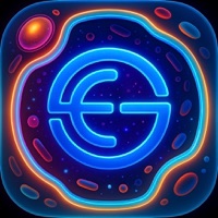 EGK CellExplorer