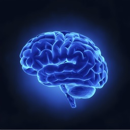 My Epilepsy Record(MER)
