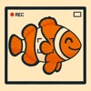 Fish Finder · AI Identifier icon