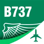 B737 Type Rating Flashcards App Support
