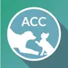 ACC of NYC problems & troubleshooting and solutions
