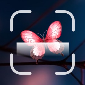 螢幕擷取畫面 (5) InsectID Identify Bugs&Spiders