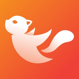 Squifly: Skydive Logbook
