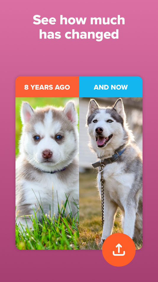 #3. Timehop - Memories Then & Now (iOS) Podle: Sincere Services