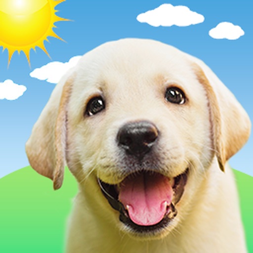 Weather Puppy Forecast + Radar iOS App