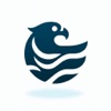 Hawk Player icon
