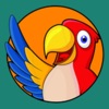 Dokun Konus icon