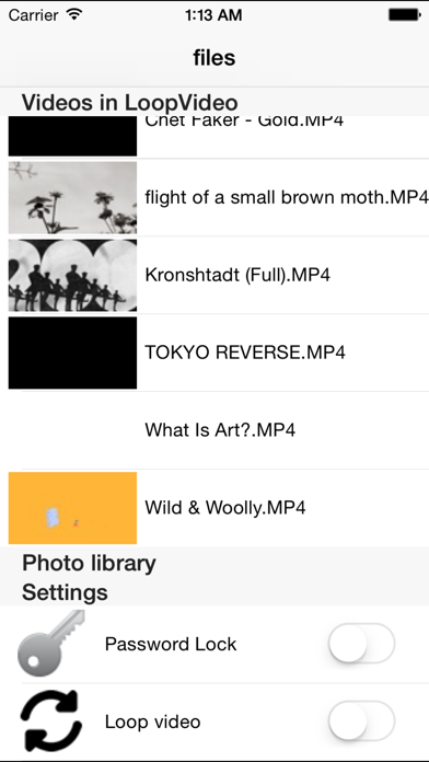 LoopVideoMINI screenshot