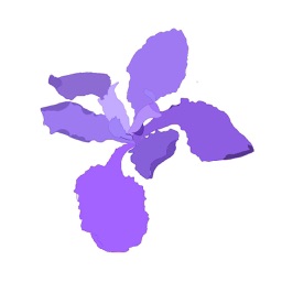 Project Iris - Watch Browser