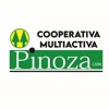 Cooperativa Pinoza Ltda. icon