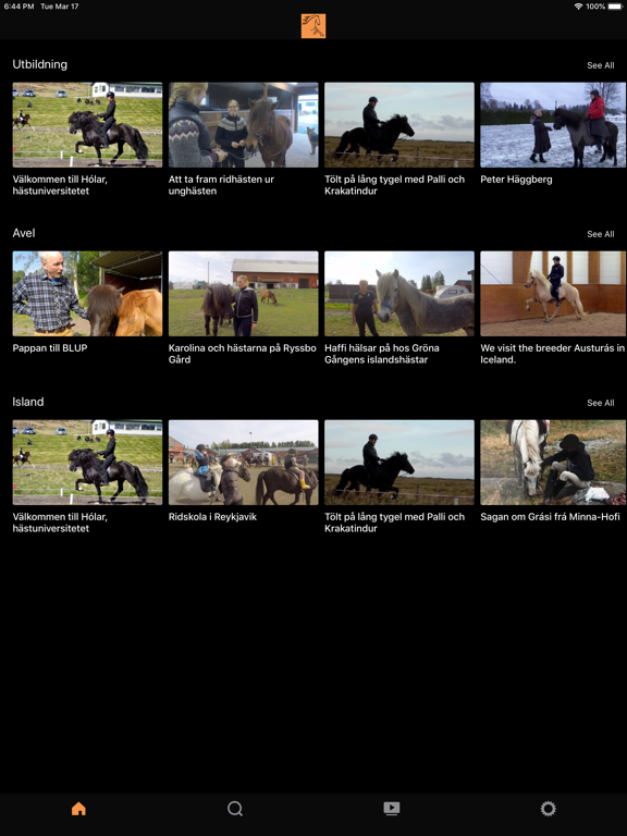 Screenshot #5 pour Töltriding