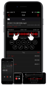 Awesome Voice Recorder - PRO screenshot