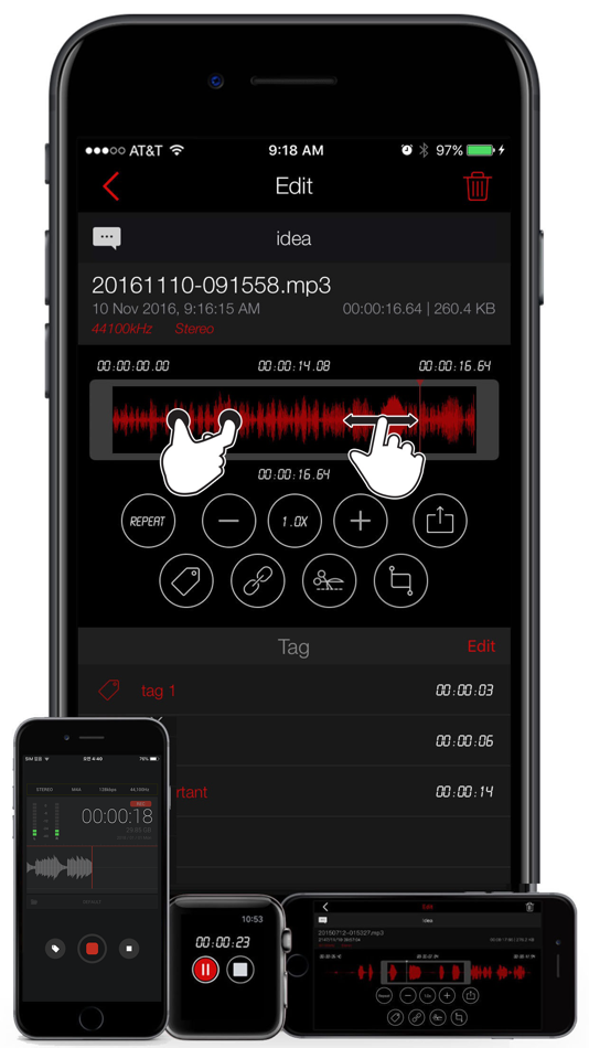 #2. Awesome Voice Recorder PRO AVR (iOS) От: Newkline Co., Ltd.