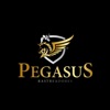 Pegasus Rastreadores 2.0