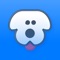 Ready to start walking or running with your Dog