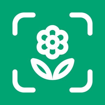 Planto: Plant Identifier