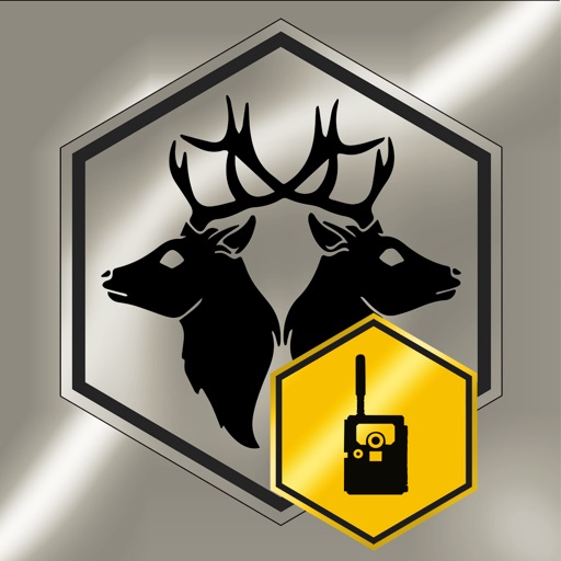 REVIERWELT: Wildkameras