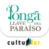 Ponga AR icon