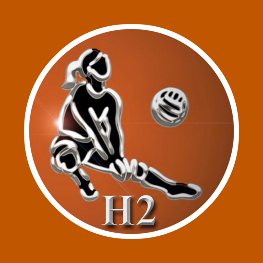 H2 SPORTS VOLLEYBALL