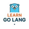 Get Learn to Code in Go Lang for iOS, iPhone, iPad Aso Report