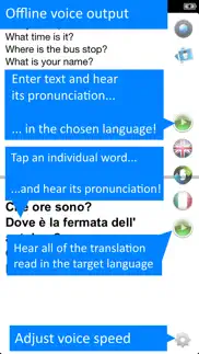 offline translator: italian iphone screenshot 4