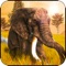 Survive and protect the Elephant family in this wildlife elephant survival game