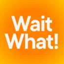 Facts: WaitWhat!