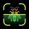Insect Identifier icon