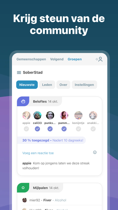 I Am Sober - Ik ben nuchter iPhone app afbeelding 6