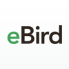 eBird - Cornell University