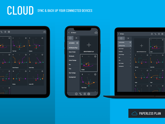 Flag Football Playmaker X iPad screenshot 4 - Sports app