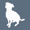 Camp Ruff-N-More icon