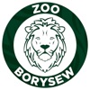 Zoo Borysew icon