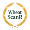 WheatScanR icon