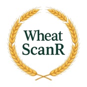 WheatScanR