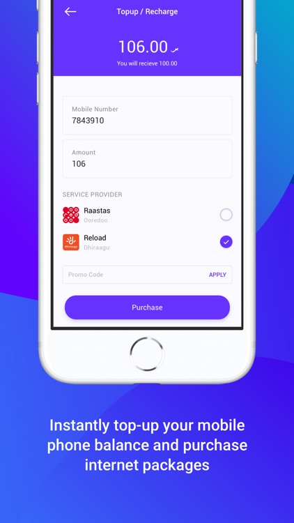 Payer - Payments for Maldives