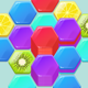 Hexa Puzzle Color Sorting