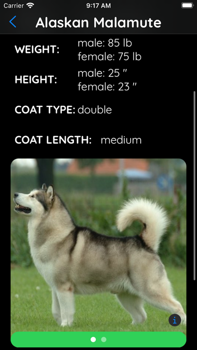 The Dog Breed App Screenshot