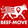 BeefMove icon